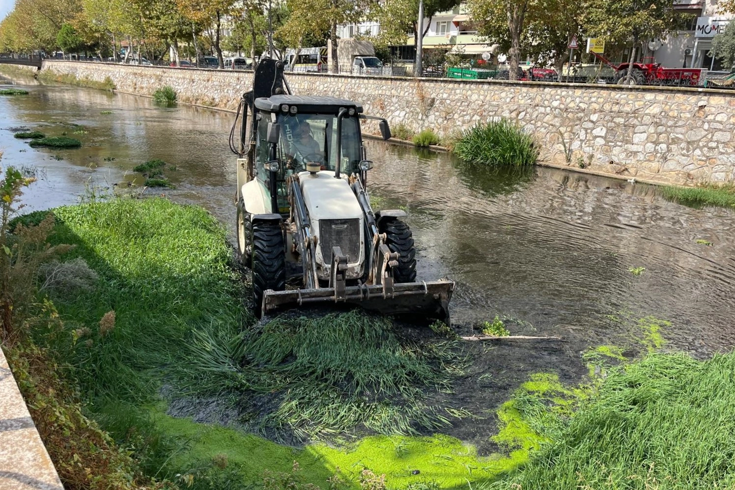 Bursa Gemlik'te derelerde temizlik